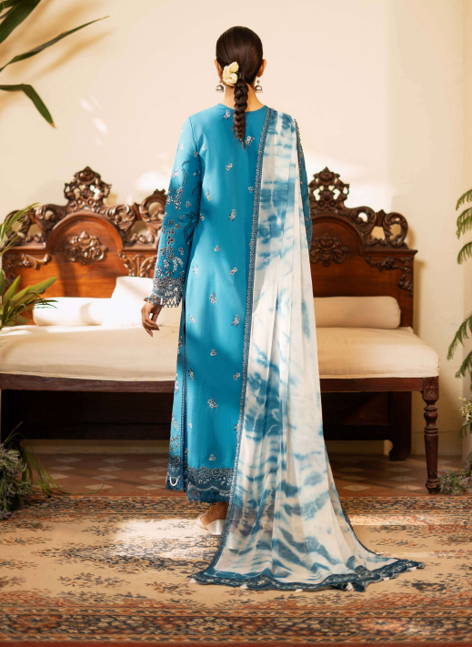 Woman in a blue traditional outfit with a matching shawl standing in a room with wooden furniture.