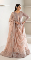 Woman wearing a light pink saree with intricate designs in a minimalistic setting