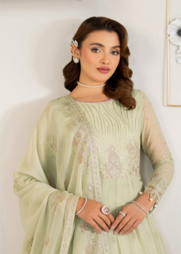 Woman wearing a light green traditional outfit with intricate designs against a white background
