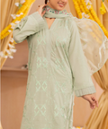 Woman wearing a light green embroidered traditional outfit with a blurred background